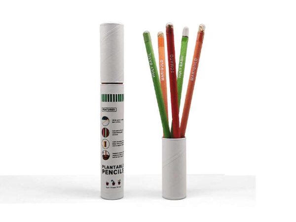 Seed Pencil — Pencil set with seeds of 5 different plants - Image 3