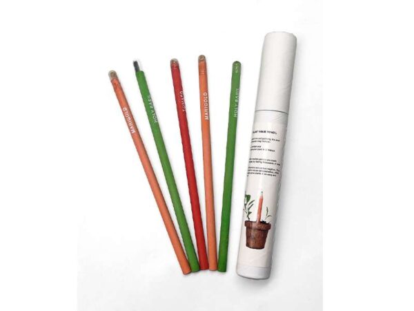 Seed Pencil — Pencil set with seeds of 5 different plants - Image 2