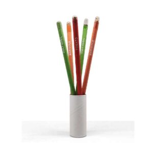 Seed Pencil — Pencil set with seeds of 5 different plants