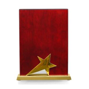 Tabit Trophy (Gold)