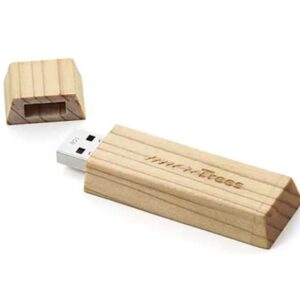 Wooden Usb 5