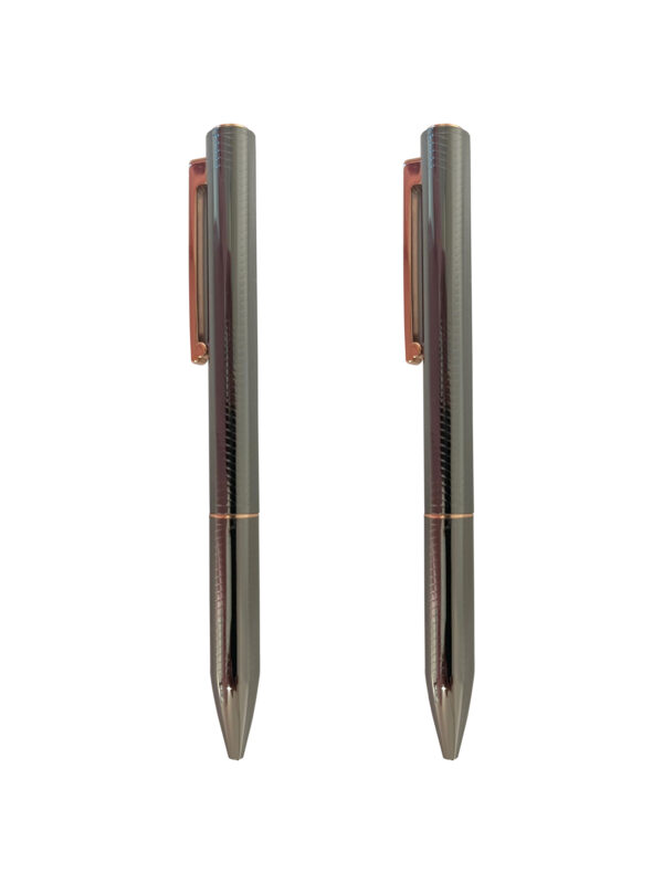 Two metallic pens with gold clips